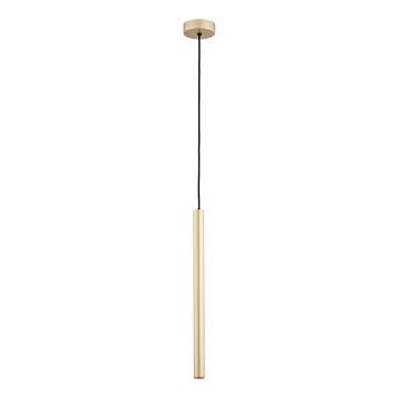 Argon 8327 - LED-Hängeleuchte an Schnur RIO LED/4,2W/230V 3000K golden