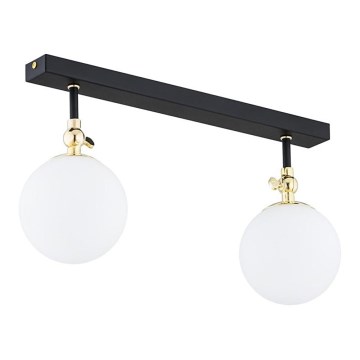 Argon 846 - Badezimmer-Aufbauleuchte LATINA 2xE14/40W/230V IP44