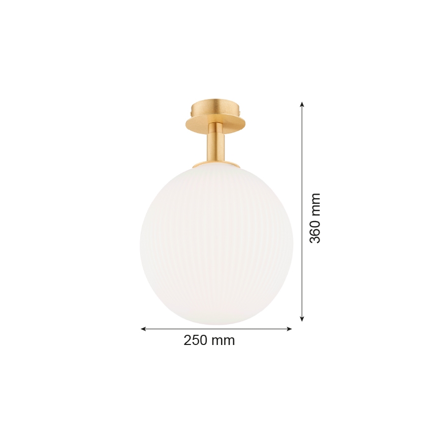 Argon 8505 - Deckenleuchte PALOMA 1xE27/15W/230V golden/weiß