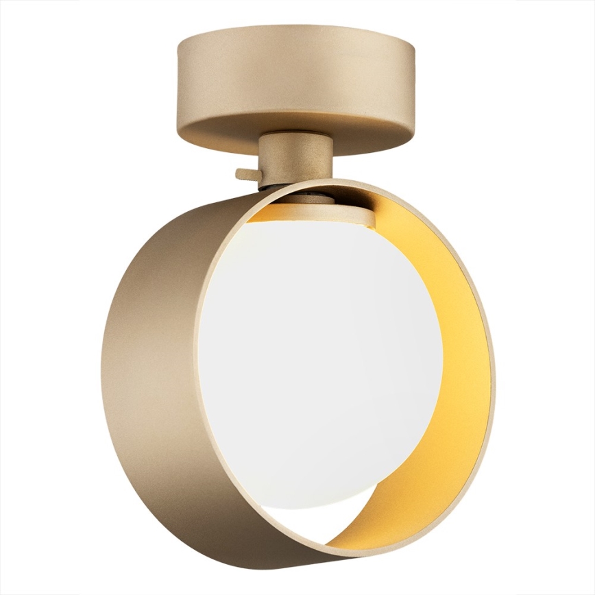 Argon 8567 - Badezimmer-Wandleuchte MASSIMO PLUS 1xG9/6W/230V IP44 golden