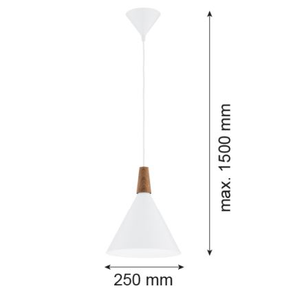 Argon 8630 - Hängeleuchte KEGEL 1xE27/15W/230V weiß