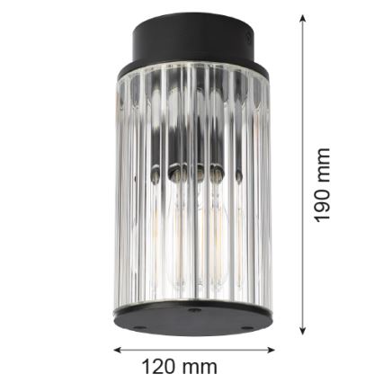 Argon 8773 - Outdoor-Deckenleuchte NORFOLK 1xE27/15W/230V IP44 schwarz