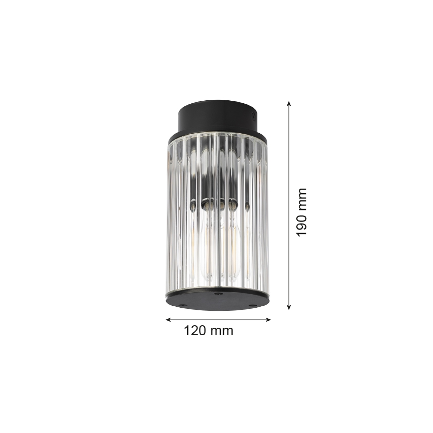 Argon 8773 - Outdoor-Deckenleuchte NORFOLK 1xE27/15W/230V IP44 schwarz