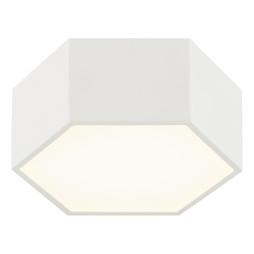 Argon 8781 - LED-Deckenleuchte LIBERO LED/12W/230V 3000K weiß