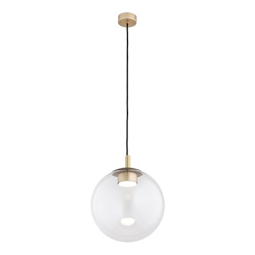 Argon 8828 - Hängeleuchte SACRAMENTO 1xGX53/8W/230V klar/golden