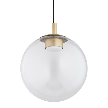 Argon 8828 - Hängeleuchte SACRAMENTO 1xGX53/8W/230V klar/golden
