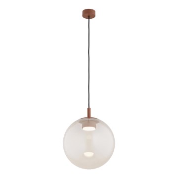 Argon 8829 - Hängeleuchte SACRAMENTO 1xGX53/8W/230V klar/braun