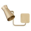 Argon 8884 - Wandleuchte LORD 1xE14/7W/230V goldfarben