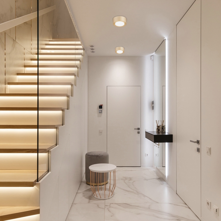 Argon 8903 - Deckenleuchte ELORA 1xGX53/7W/230V Ø 11 cm gold