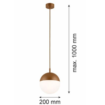 Argon 8998 - Außen-Pendelleuchte an Kabel LIV 1xE27/15W/230V IP44 braun