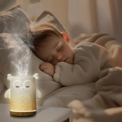 Aroma-Diffusor (LED-RGBW) LED/8W/230V 100 ml Eule