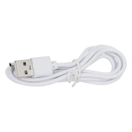 Atmosphera - Aufladbare Outdoor-Tischleuchte (LED RGBW) ZACK LED/3,7V 1200 mAh IP44 beige