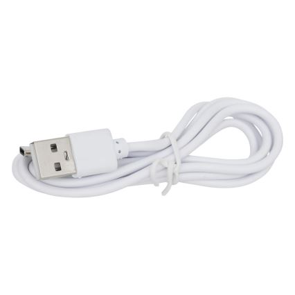 Atmosphera - Aufladbare Outdoor-Tischleuchte (LED RGBW) ZACK LED/3,7V 1200 mAh IP44 türkisfarben