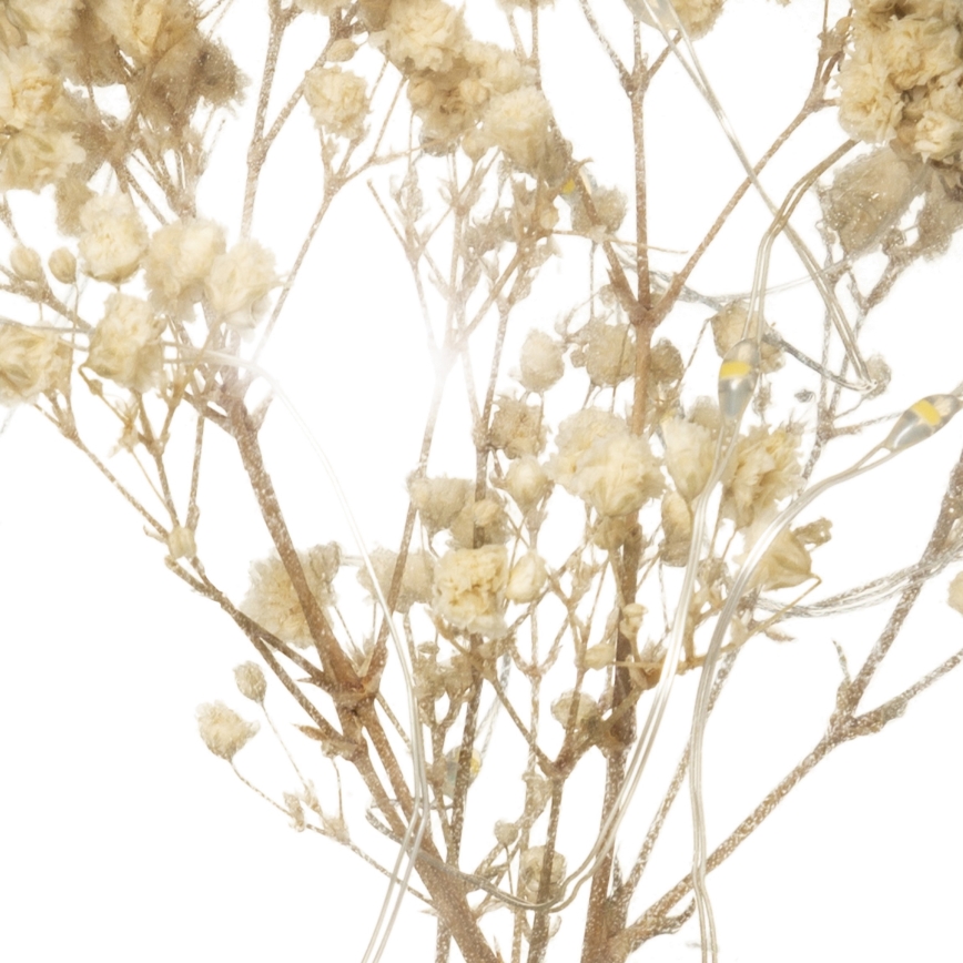 Atmosphera - LED-Tischleuchte MICRO LED/2xAAA