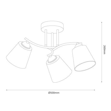 Aufbau-Deckenleuchte PAFOS 3xE27/15W/230V schwarz