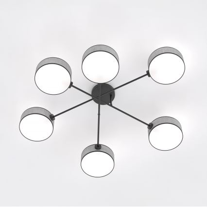 Aufgesetzte Deckenleuchte MAGA 6xE14/10W/230V grau
