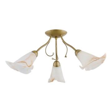 Aufgesetzte Deckenleuchte MARCELLO 3xE14/10W230V goldfarben