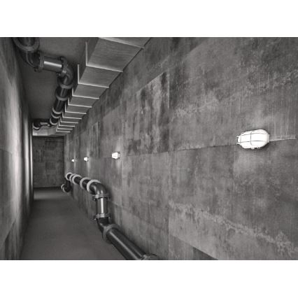 Außen-Deckenleuchte OVAL 1xE27/60W/230V IP44 weiß