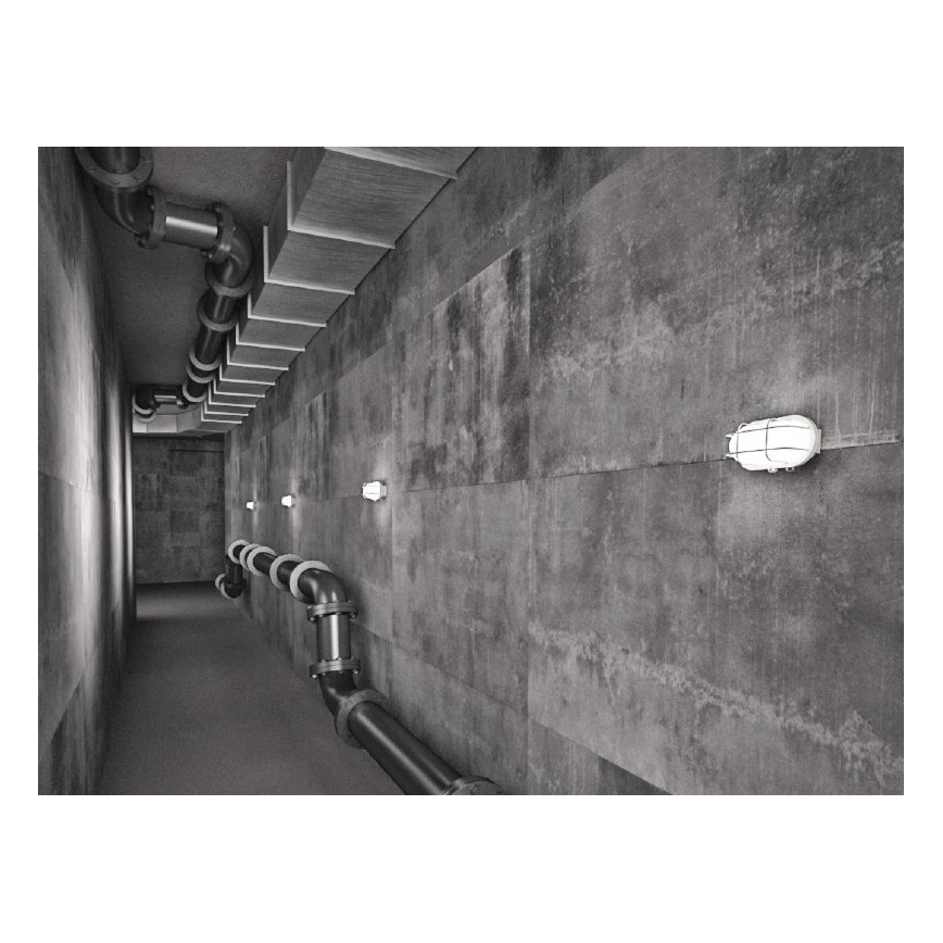 Außen-Deckenleuchte OVAL 1xE27/60W/230V IP44 weiß