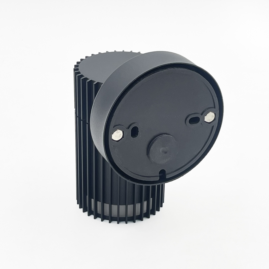 Außen-Wandspot LANTHEA 1xGU10/11W/230V IP44 schwarz