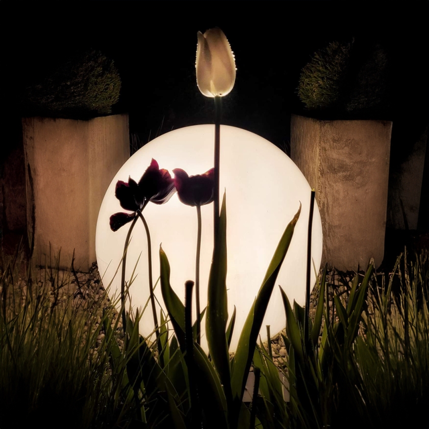 Außenleuchte GLOBO 1xE27/60W/230V Ø 60 cm IP44