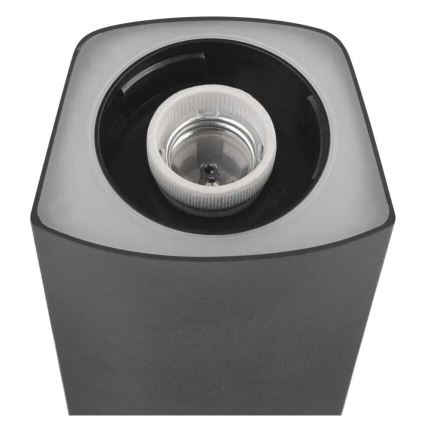 Außenleuchte LANA 1xE27/25W/230V IP54 45 cm