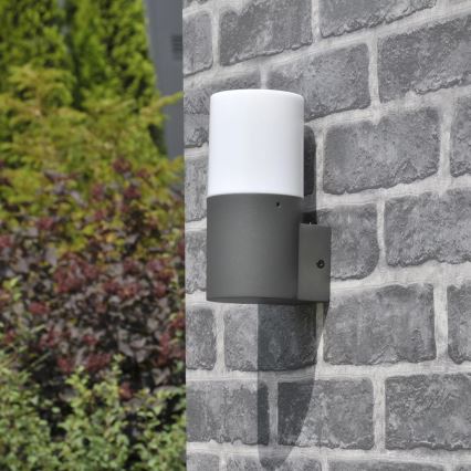 Außenwandleuchte DALLAS 1xE27/12W/230V IP44 Anthrazit