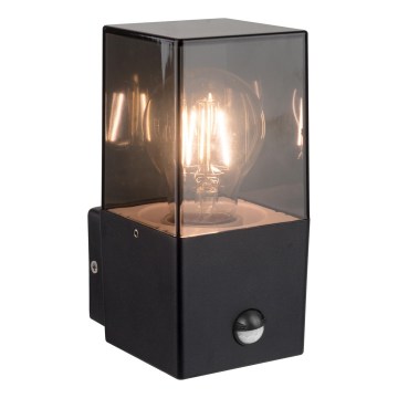 Außenwandleuchte mit Bewegungs- und Dämmerungssensor 1xE27/40W/230V IP44 schwarz/rauchfarben