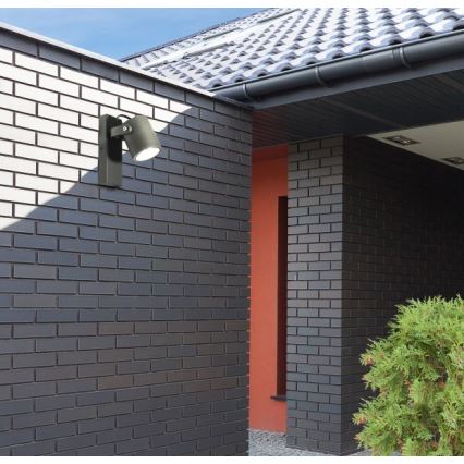 Außenwandleuchte PINO 1xGU10/10W/230V IP44