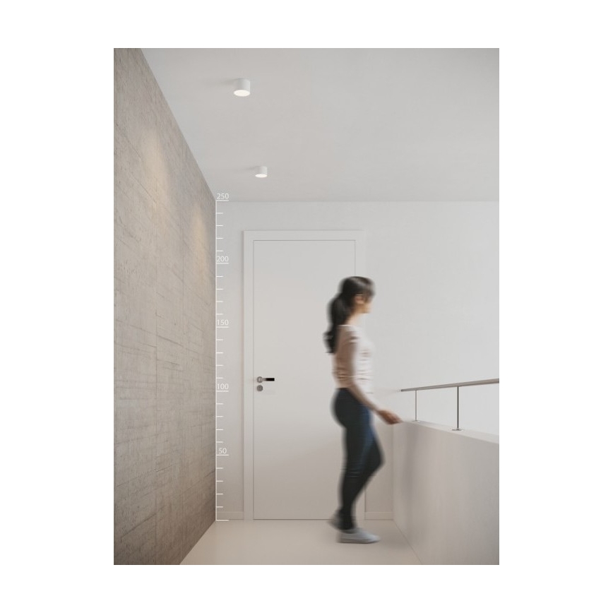 Azzardo AZ2252 - LED Deckenleuchte MONZA 1xLED/5W/230V