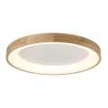Azzardo AZ2698 - LED-Deckenleuchte SILVAM LED/50W/230V