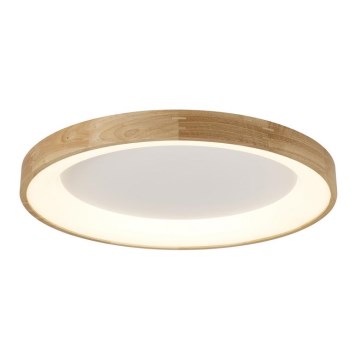 Azzardo AZ2698 - LED-Deckenleuchte SILVAM LED/50W/230V