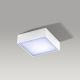 Azzardo AZ2781 - LED Deckenleuchte FALCO LED/12W/230V