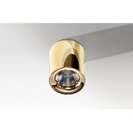 Azzardo AZ2846 - LED Deckenleuchte MANE 1xLED/10W/230V