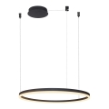 Azzardo AZ4960 - LED dimmbare Hängeleuchte an Kabel HALO LED/54W/230V Ø 80 cm schwarz