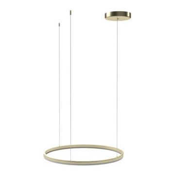 Azzardo AZ4970 - LED dimmbare Hängeleuchte an Kabel HALO LED/46W/230V Ø 60 cm gold