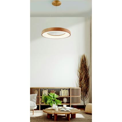 Azzardo AZ5010 - Dimmbare LED-Hängeleuchte an Schnur SANTANA LED/50W/230V braun + Fernbedienung