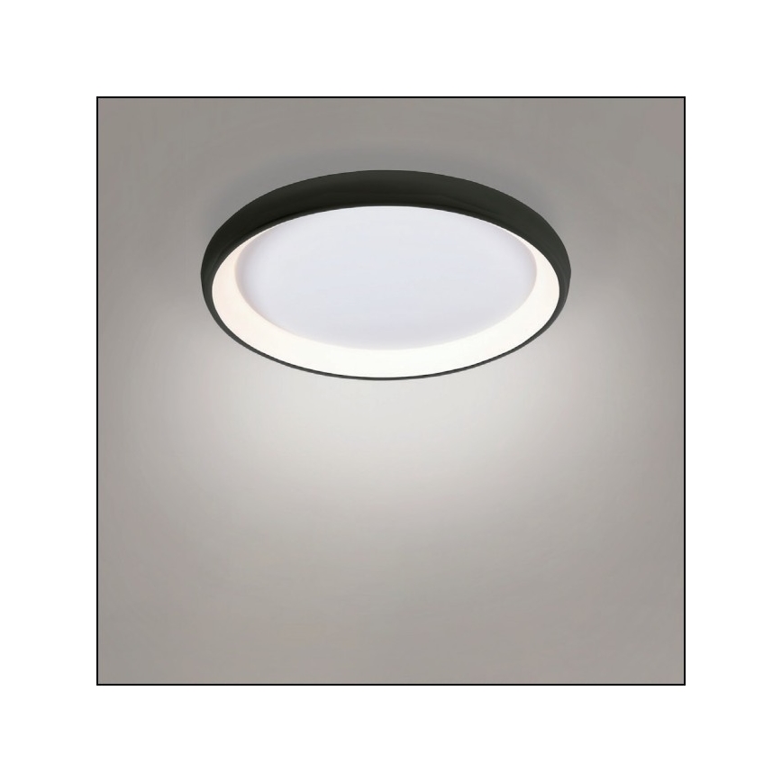Azzardo AZ5072 - Dimmbare LED-Deckenleuchte ANTONIO LED/50W/230V schwarz + Fernbedienung