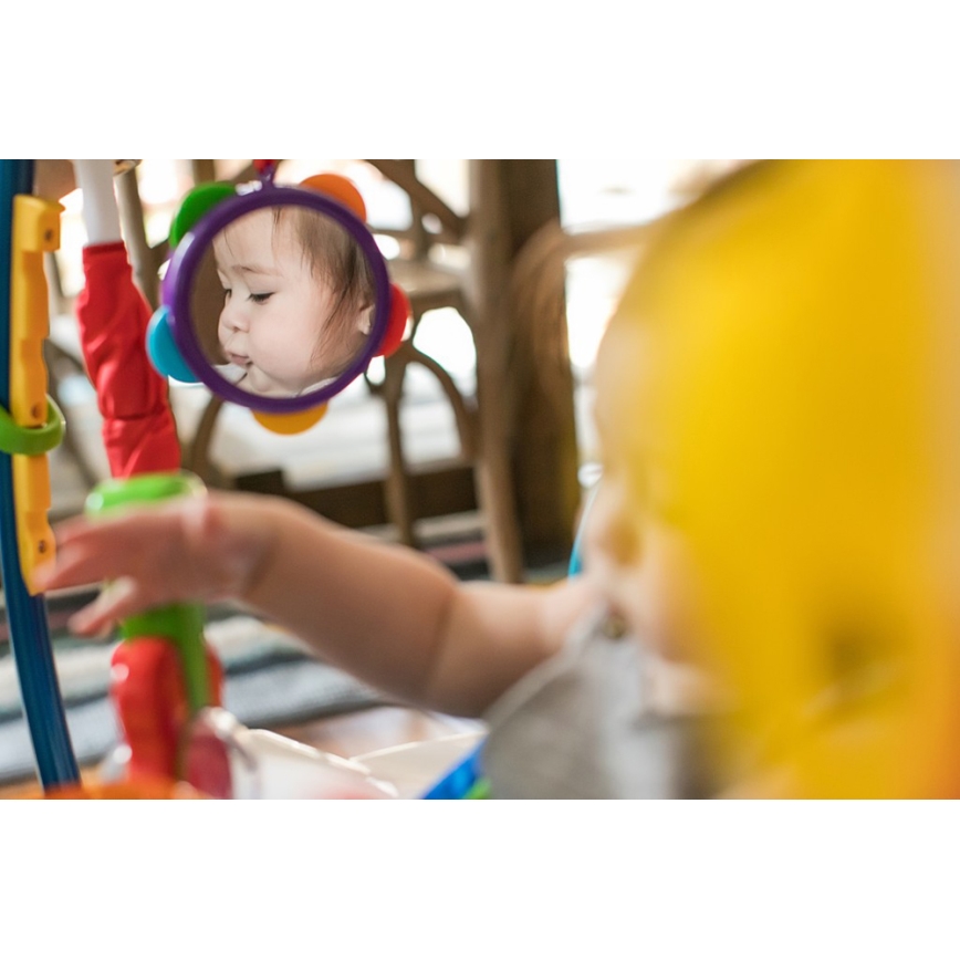 Baby Einstein - Hopser 2-in-1 NEIGHBORHOOD SYMPHONY