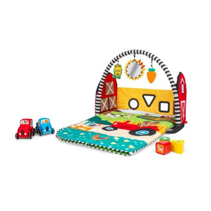Baby Einstein - Kinder-Spieldecke BUSY BARNYARD 4xAA