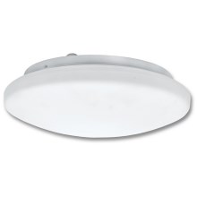 Bathroom ceiling light with a sensor VICTOR 2xE27/60W/230V IP44