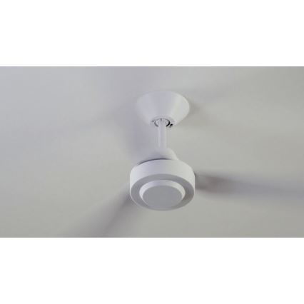 BAYSIDE 213015 - Deckenventilator CALYPSO