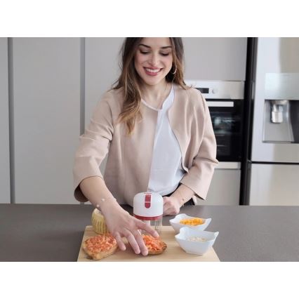 Beper - Wiederaufladbarer Zerkleinerer 30W/5V 1500 mAh 250 ml