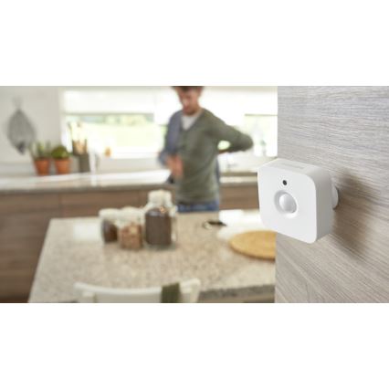 Bewegungssensor Philips Hue 2xAAA IP42