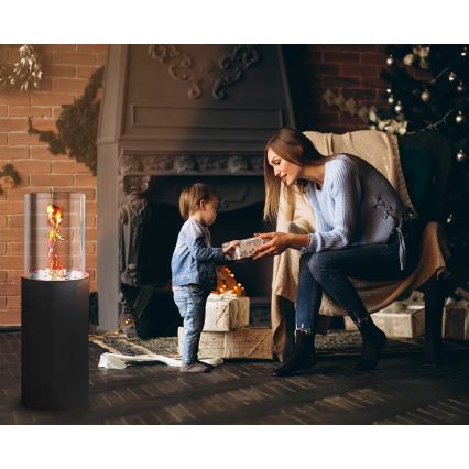 Bio-Kamin ROMA 26,5x80,5 cm 2kW schwarz + Schutzabdeckung