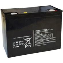 Blei-Säure-Batterie VRLA AGM 12V/20Ah