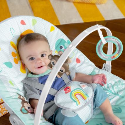 Bright Starts - Babywippe mit Vibration WILD VIBES 1xLR14