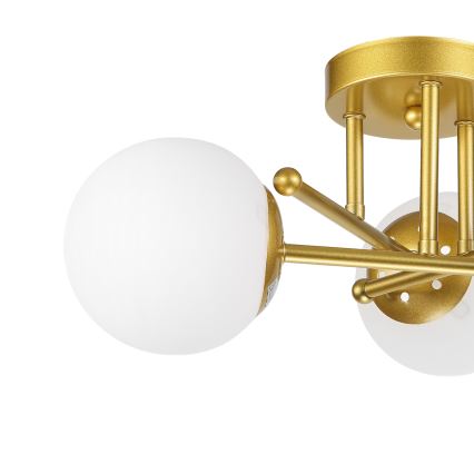 Brilagi - Aufbauleuchte MALIVA 3xE14/15W/230V gold/weiß