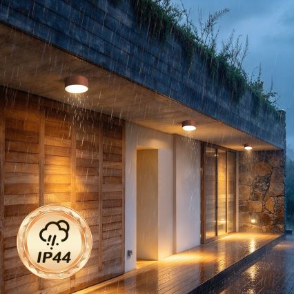 BRILAGI - Außen-Deckenleuchte FORIS LED/20W/230V Ø 15 cm bronzefarben IP44