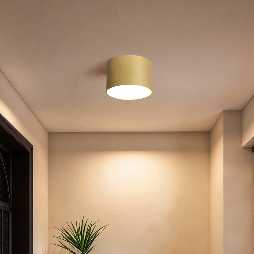 BRILAGI - Außen-Deckenleuchte FORIS LED/9W/230V Ø 9 cm goldfarben IP44